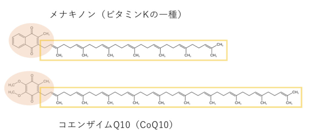 ビタミンKとCoQ10の化学構造式の比較