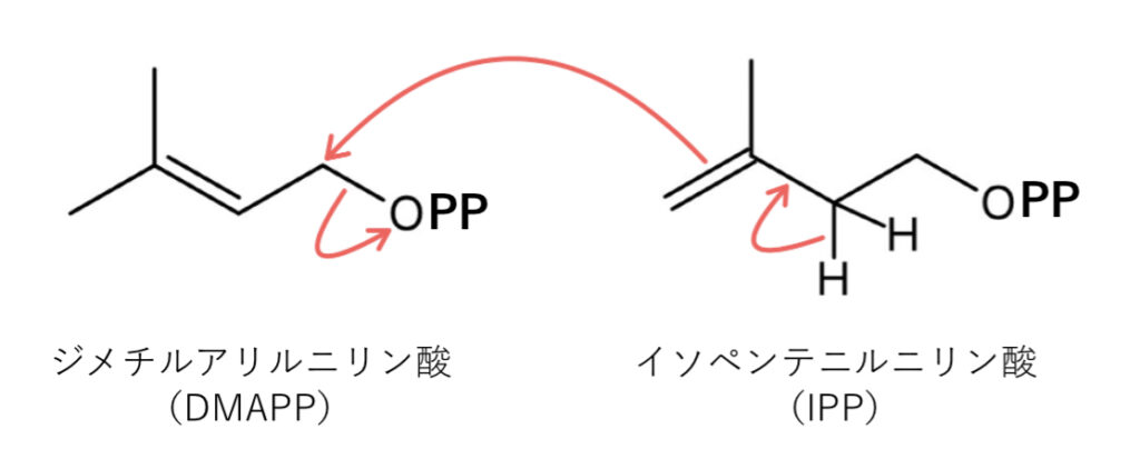 IPPとDMAPPの反応