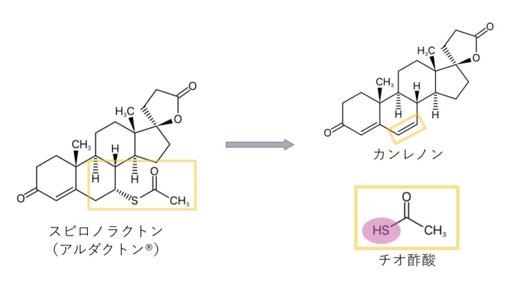 スピロノラクトンと硫黄臭