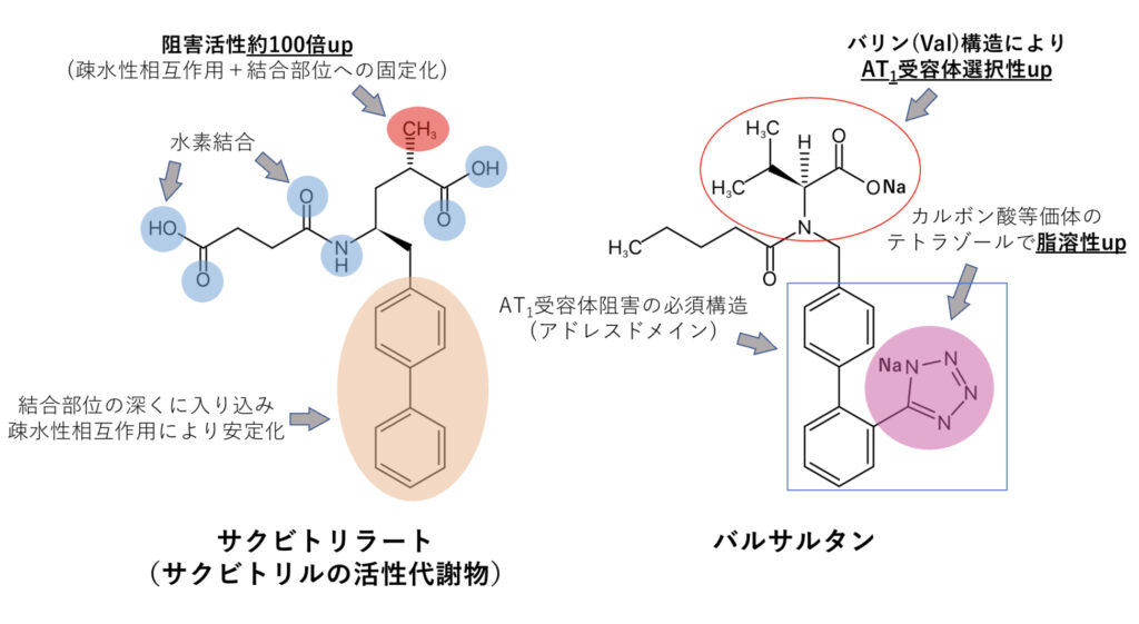 サクビトリルバルサルタン、エンレストの化学構造式と相互作用